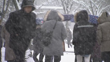 호남 폭설...도로 통제·항공편 결항 잇따라 / YTN
