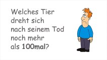 Welches Tier dreht sich nach seinem Tod noch mehr als 100mal