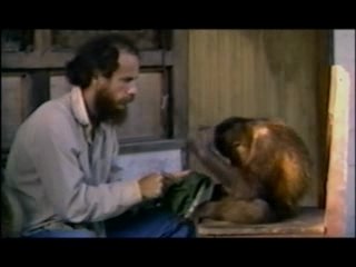 NATURE | From Orphan to King | Language Skills | PBS