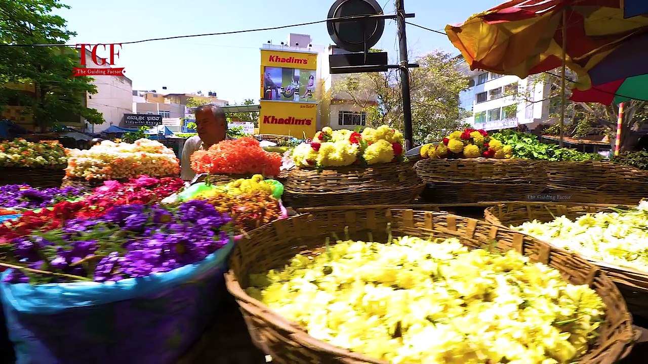 Landmarks in Basavanagudi  A Day Tour   Explore Bangalore in Karnataka guide discovery budget food