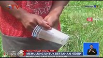 Dua Bocah Memulung Saat Libur Sekolah