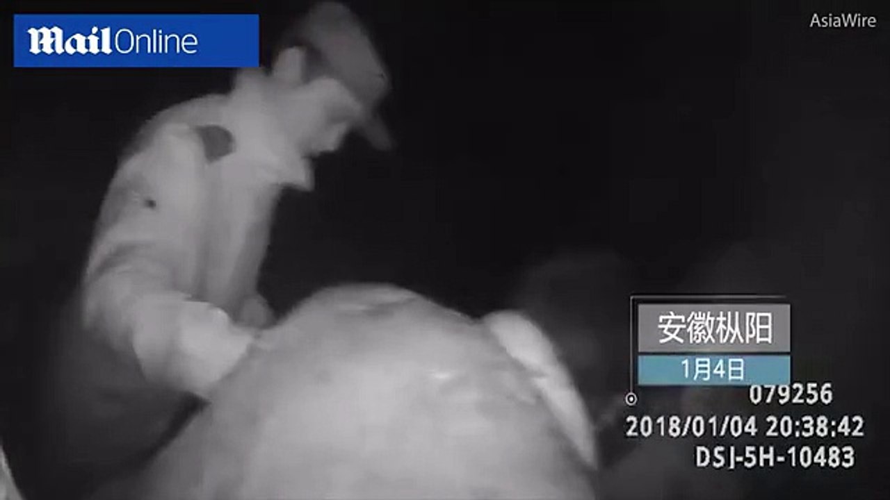 Moment 80-year-old missing in snow is found by husbands grave