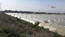 Mersin Tarsus'ta 38 Bin Dekar Alan Sular Altında, Çiftçi Yardım Bekliyor