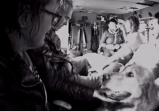 Coast Guard Airlifts Dogs Stranded on Golf Course by California Mudslides