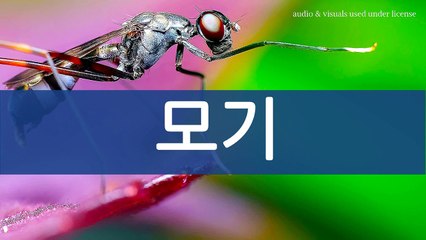 모기 소리 효과
