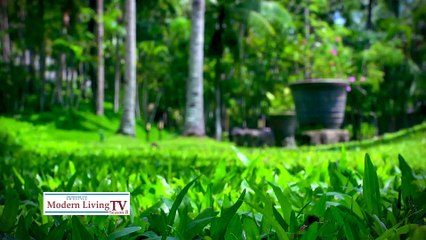 The what’s what of Plantfoodism