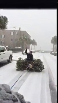 Il fait du snowboard sur un sapin traîné en voiture dans les rues enneigées !
