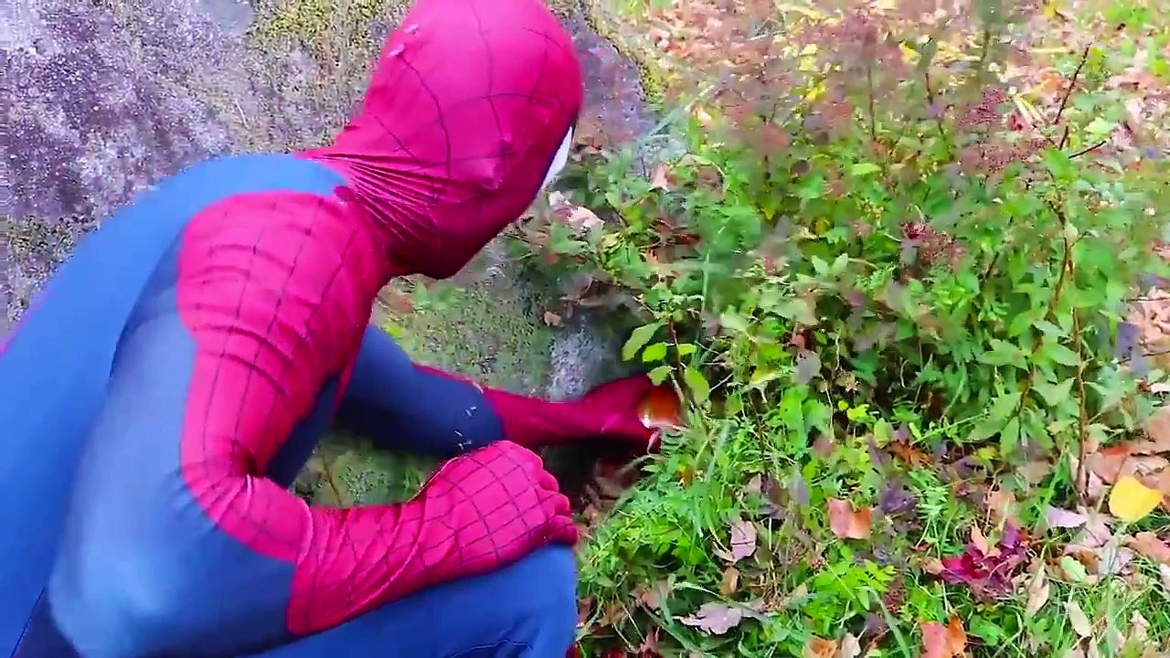 Frozen Elsa & Spiderman Find a TREASURE! w  Joker Spidergirl Toys! Superhero Fun in real life IRL - YouTube | Superheroes | Spiderman | Superman | Frozen Elsa | Joker