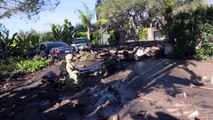 Deslizamentos na Califórnia deixam 17 mortos