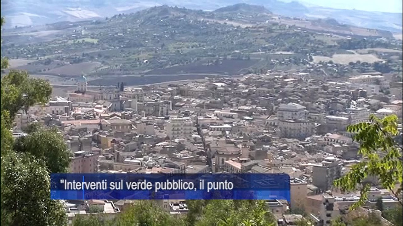 Interventi sul verde pubblico