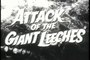 Attack Of The Giant Leeches Trailer