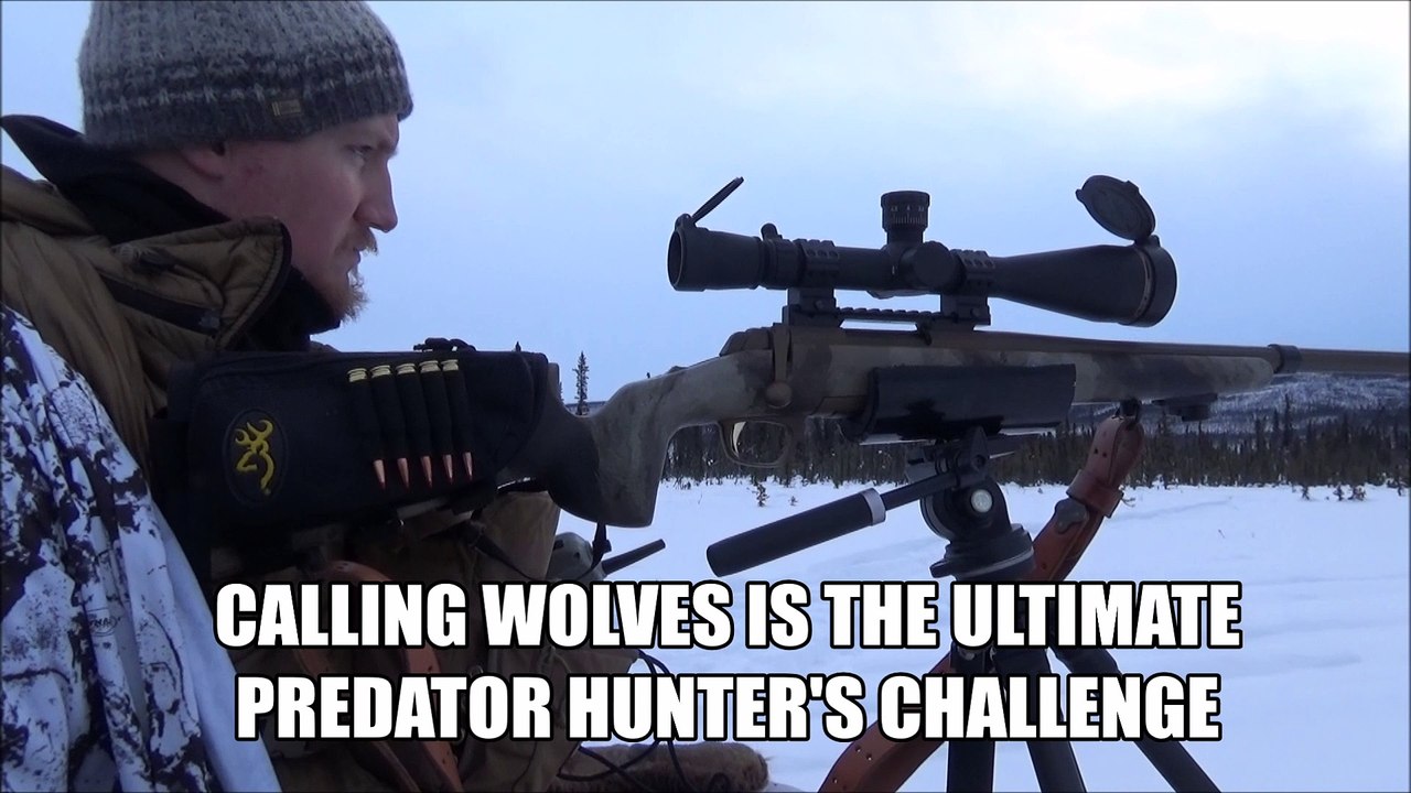 How to Call Wolves