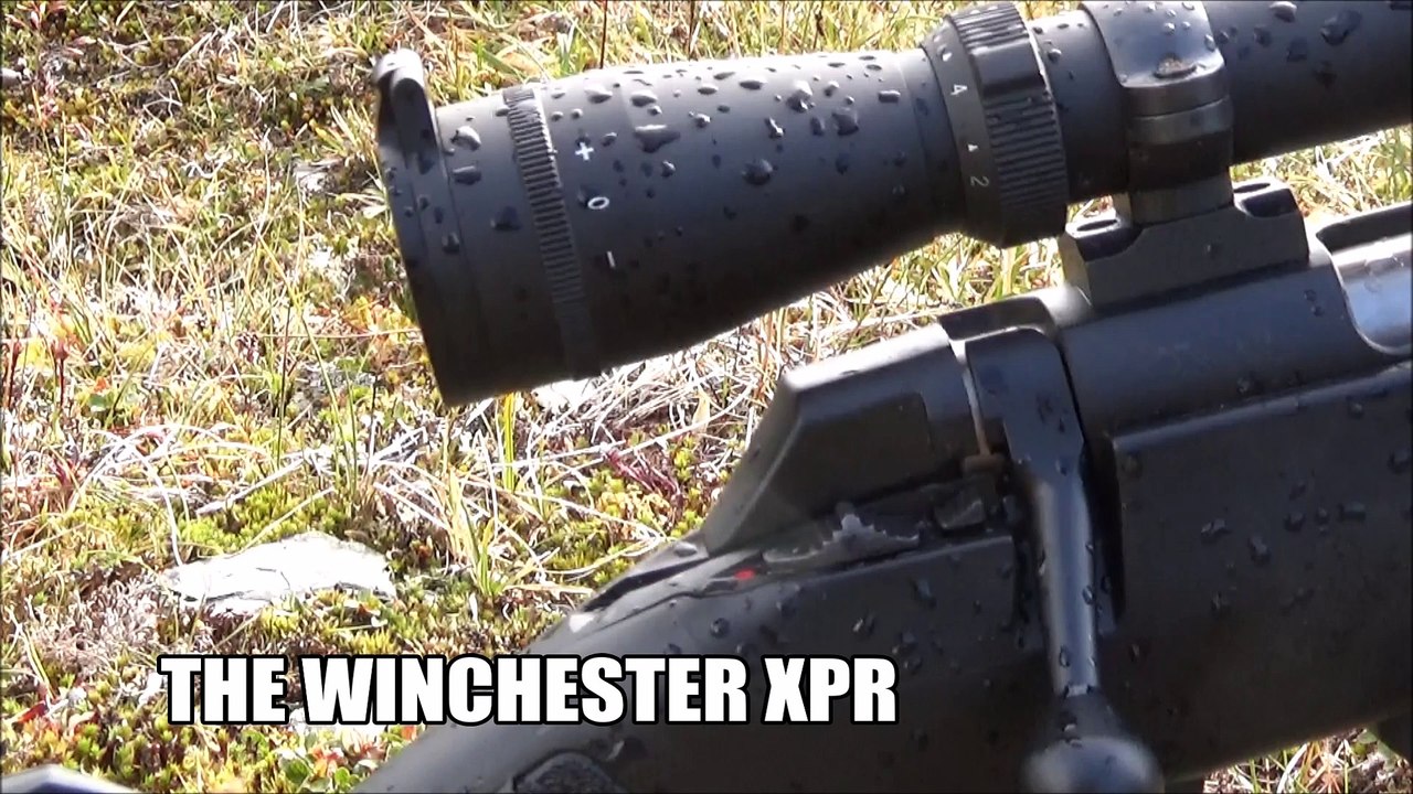 The Working Man's Rifle