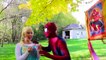 Frozen Elsa & Spiderman PINATA SURPRISE w  Joker Captain America Toys Superhero Fun in real life IRL | Superheroes | Spiderman | Superman | Frozen Elsa | Joker