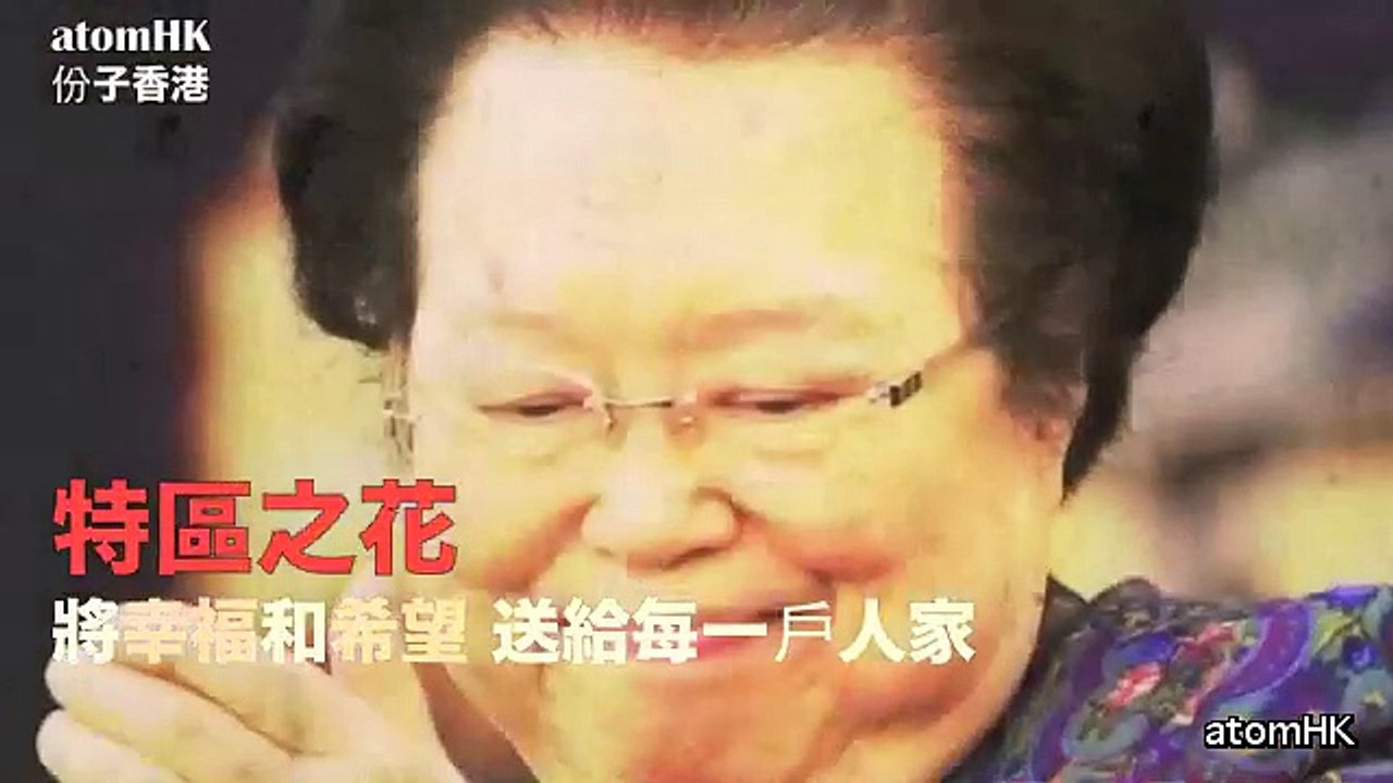 【維護核心】人大老殼白頭范回應馬道立普通法 飛哥與你 | 議事論事