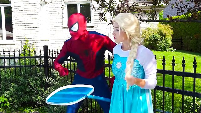 Frozen Elsa & Spiderman vs the WITCH & Joker w Spidergirl, the ghost, Vision Superhero Fun | Superheroes | Spiderman | Superman | Frozen Elsa | Joker