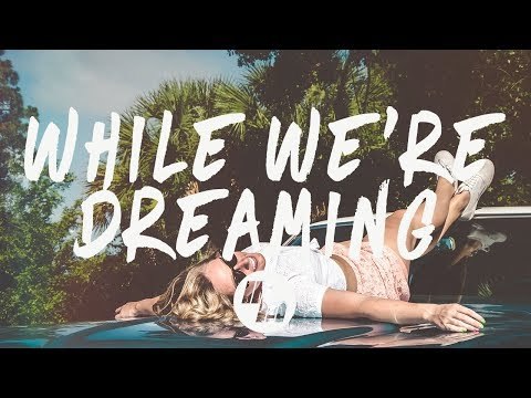 Two Friends - While We're Dreaming (Lyrics / Lyric Video) Ft. Kevin Writer