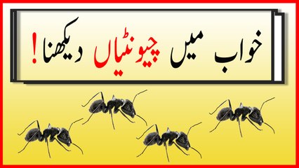 khwabon ki tabeer in urdu - Khwab mein chiontian dekhany ki tabeer