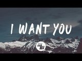 Robotaki & Manila Killa - I Want You (Lyrics / Lyric Video) Kuur Remix, feat. Matthew John Kurz
