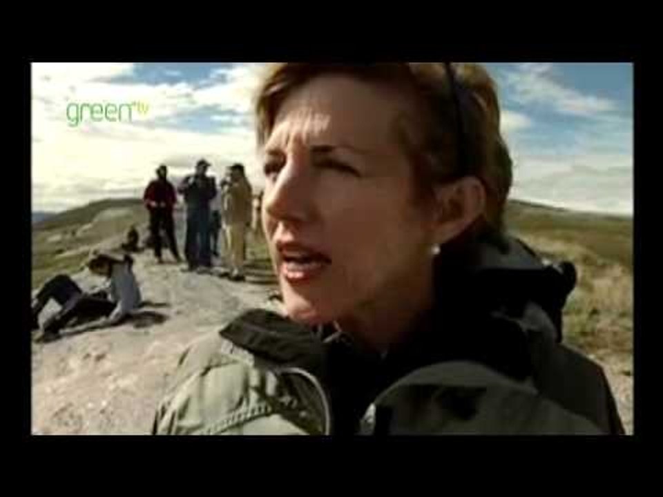 Global warming in Greenland - Day 4