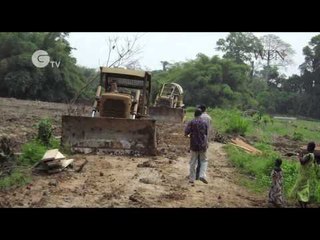 Inza Koné - primate conservation in West Africa