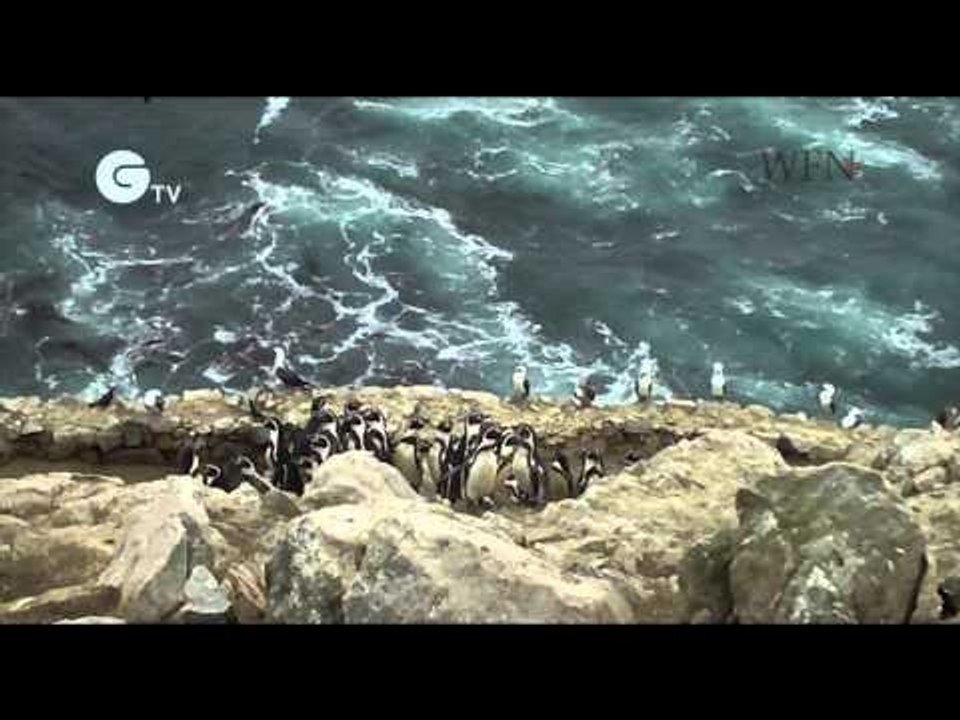 Joanna Alfaro Shigueto - empowering coastal fishing communities