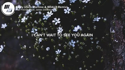 Two Friends - Emily (Lyrics / Lyric Video) Zack Martino & BEAUZ Remix, Feat. James Delaney