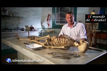 El vampirismo - Documental La isla de los vampiros