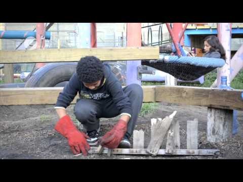 Project Wild Thing - What happens when we forget we are natural animals?