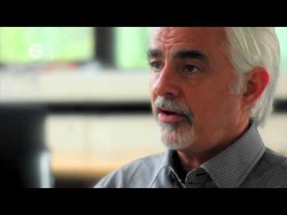 STOP IT - Stop the illegal trade in rhino horn and ivory