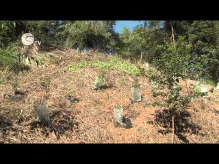 Landholder Environments Grants