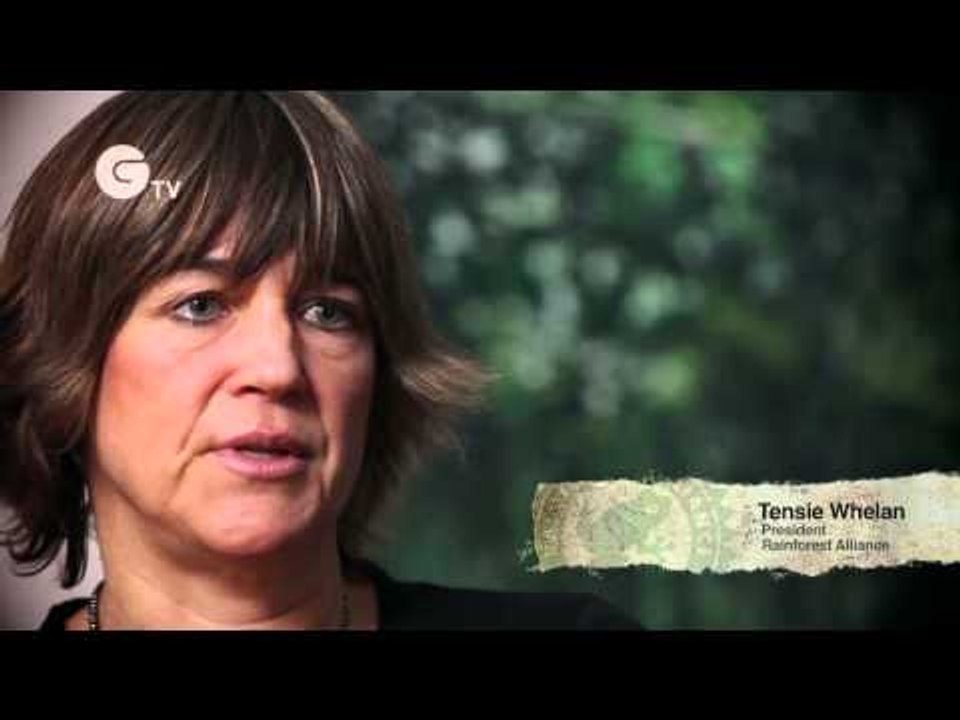What Is the Rainforest Alliance?