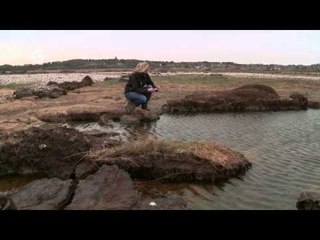 Shifting Shores in Blakeney, Norfolk: How Storms & Climate Change Are Changing the Coast 🌊
