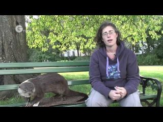 Toxoplasmosis in otters