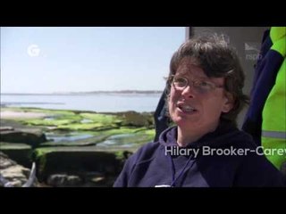 Saving Special Places: Coquet Island