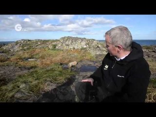 Farne Islands welcome their first seal pup of 2014