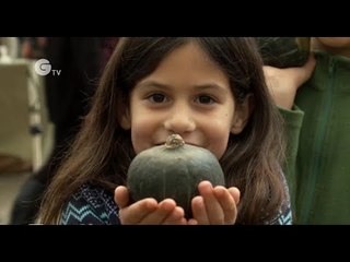 The Great Pumpkin Rescue - The First Oxford Pumpkin Festival
