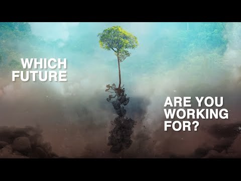 Biofuels: The Butterfly Effect