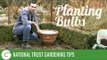 National Trust Gardening Tips: Planting Bulbs