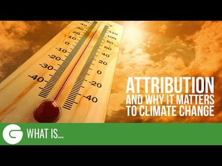 What Is Attribution (And Why It Matters)?