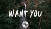Rynx - Want You (Lyrics / Lyric Video) feat. Miranda Glory