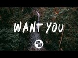 Rynx - Want You (Lyrics / Lyric Video) feat. Miranda Glory