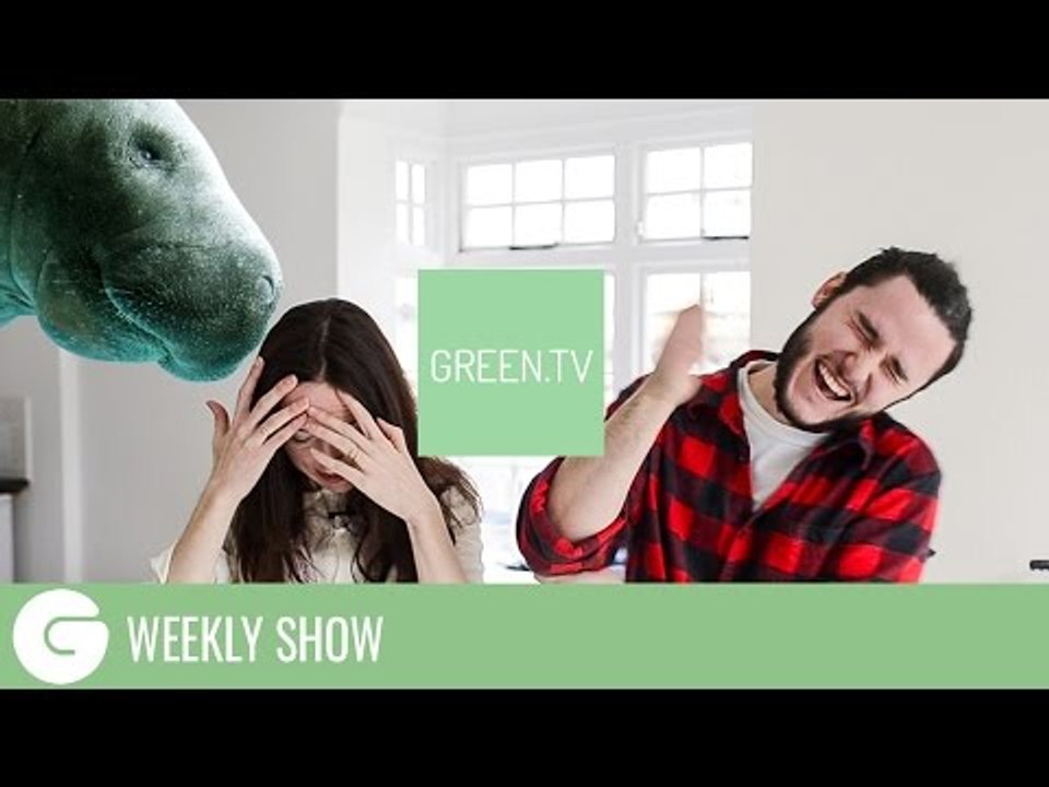 From Manatees to Flaring | Green.TV show