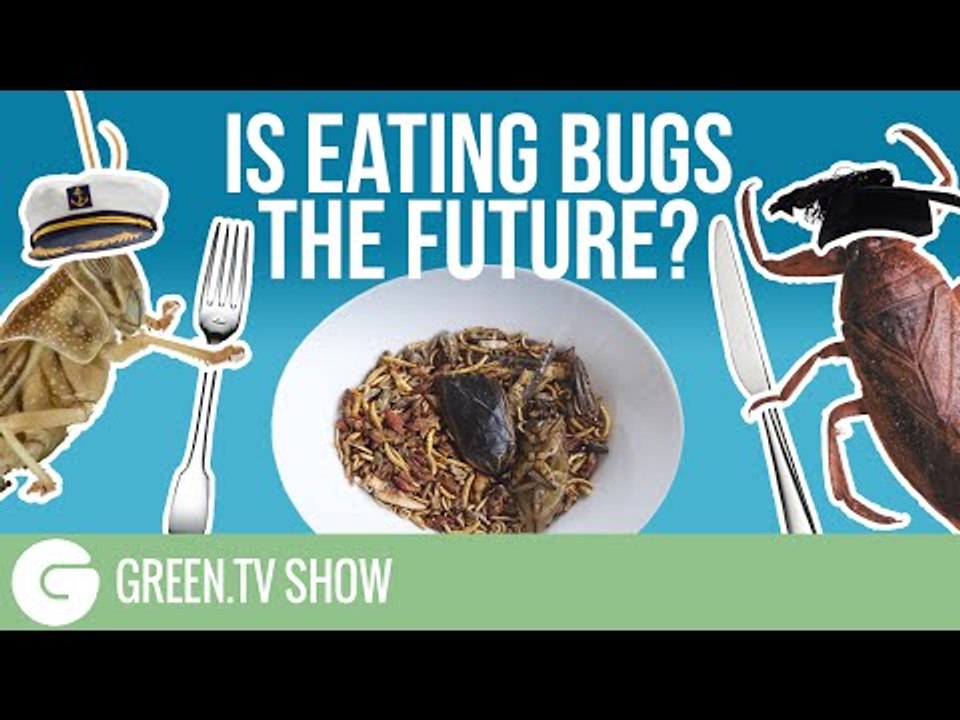 Bug Eating Special | Green.TV show