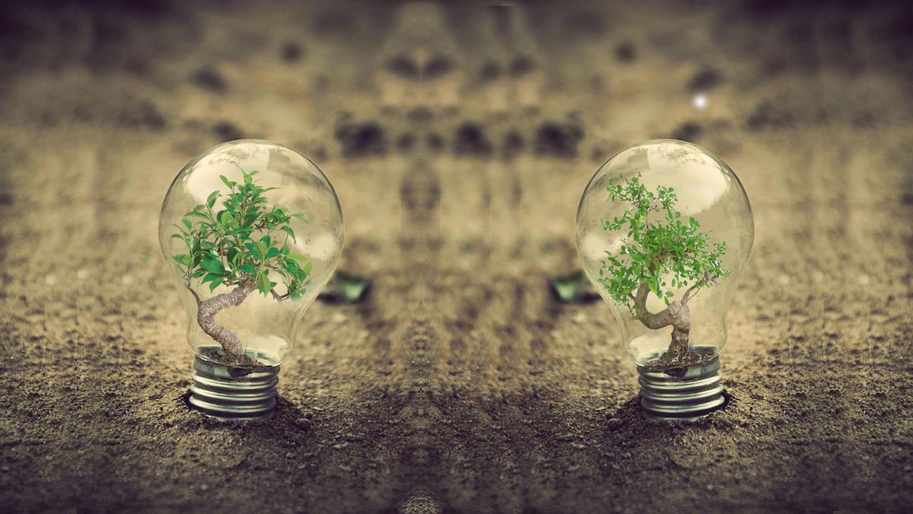 PLANT IN BULB | Photoshop manipulation