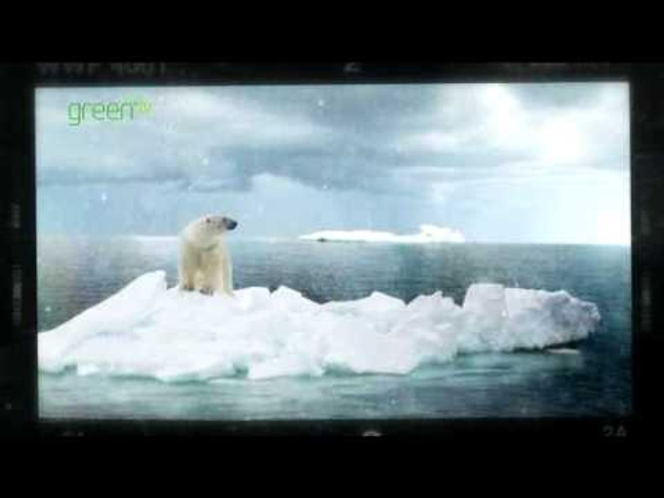 Stunning wildlife