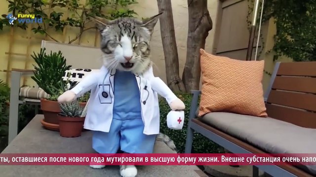 News Mews #5. Что нас ждёт в 2018 году?