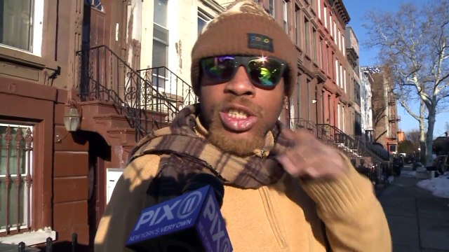 Dog Owners Say Pets Are Being Shocked by Stray Voltage in NYC Neighborhood