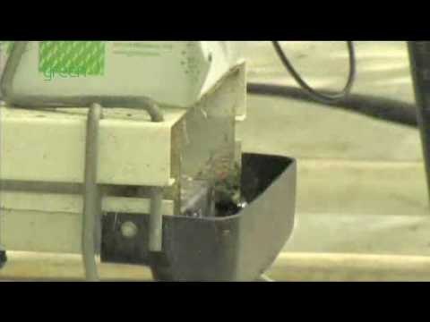 Renewable energy - Wind and Biomass