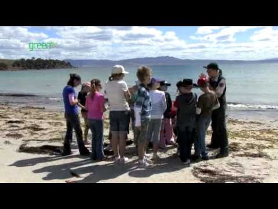 Maria Island Marine Reserve - Land and Sea interface